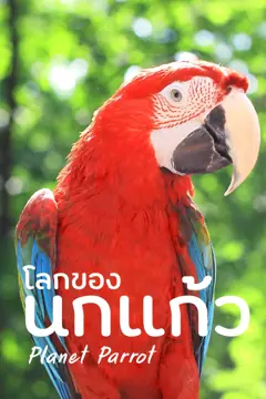 ปกสารคดี โลกของนกแก้ว